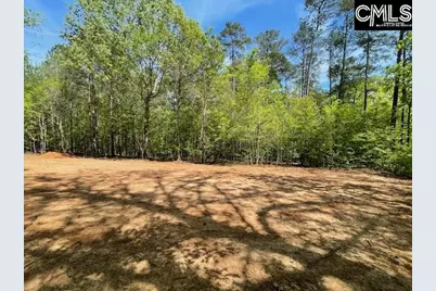 Lot 1 Highway 121, Silverstreet, SC 29145 - Photo 15
