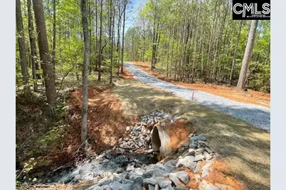 Lot 1 Highway 121, Silverstreet, SC 29145 - Photo 9
