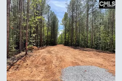Lot 1 Highway 121, Silverstreet, SC 29145 - Photo 13