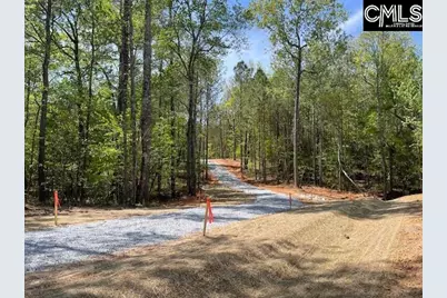 Lot 1 Highway 121, Silverstreet, SC 29145 - Photo 7