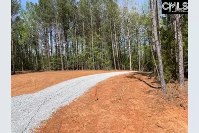 Lot 1 Highway 121, Silverstreet, SC 29145 - Photo 9