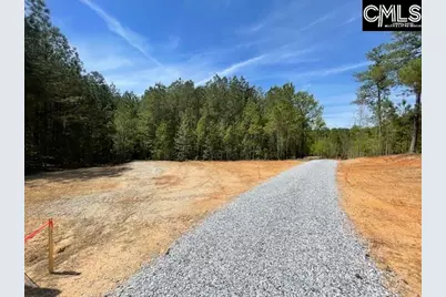 Lot 1 Highway 121, Silverstreet, SC 29145 - Photo 5