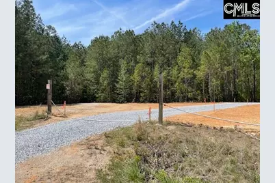 Lot 1 Highway 121, Silverstreet, SC 29145 - Photo 3