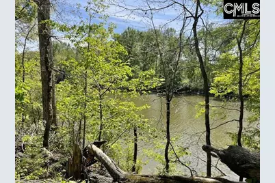 Lot 1 Highway 121, Silverstreet, SC 29145 - Photo 17