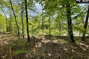 Lot 1 Hwy 121, Silverstreet, SC 29145 - Photo 1