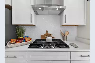 207 Murray Falls Lane, Chapin, SC 29036 - Photo 19