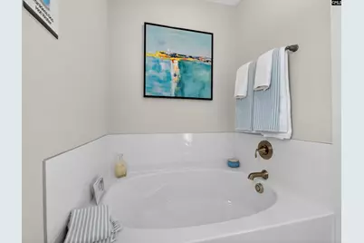 207 Murray Falls Lane, Chapin, SC 29036 - Photo 41