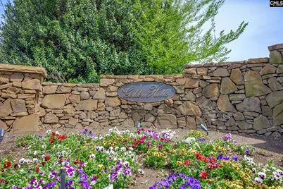 100 Birkdale Drive, Lexington, SC 29072 - Photo 77