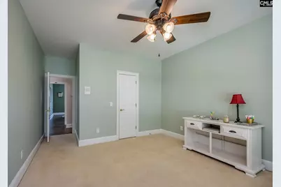100 Birkdale Drive, Lexington, SC 29072 - Photo 47