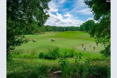 100 Birkdale Drive, Lexington, SC 29072 - Photo 75