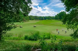 100 Birkdale Dr, Lexington, SC 29072 - Photo 75