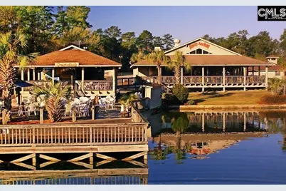 310 Explorer Drive, Chapin, SC 29036 - Photo 29