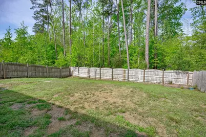447 Kippen Lane, Lexington, SC 29073 - Photo 3