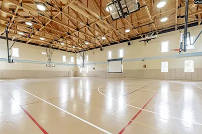 193 Crimson Queen Drive, Blythewood, SC 29016 - Photo 41