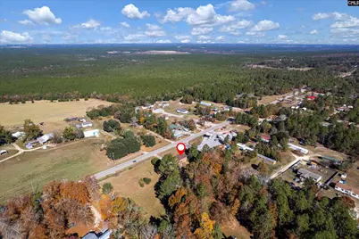 4303 Fish Hatchery Road, Gaston, SC 29053 - Photo 39