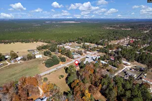 4303 Fish Hatchery Rd, Gaston, SC 29053 - Photo 39