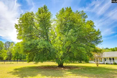 599 Charlotte Thompson School, Camden, SC 29020 - Photo 7