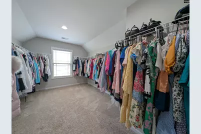 105 Tall Pines Road, Gaston, SC 29053 - Photo 53