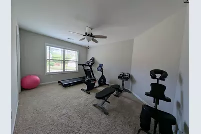 105 Tall Pines Road, Gaston, SC 29053 - Photo 35