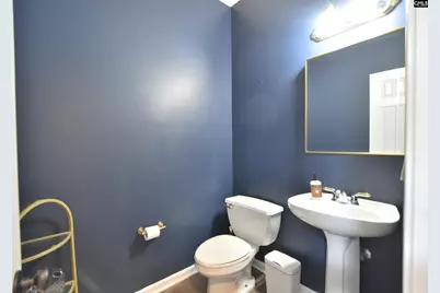 305 Belfair Road, Irmo, SC 29063 - Photo 19