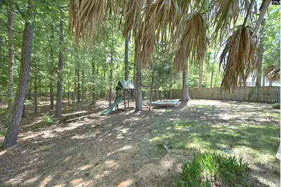 305 Belfair Road, Irmo, SC 29063 - Photo 43