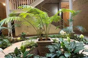 619 King Street 905, Columbia, SC 29205 - Photo 15