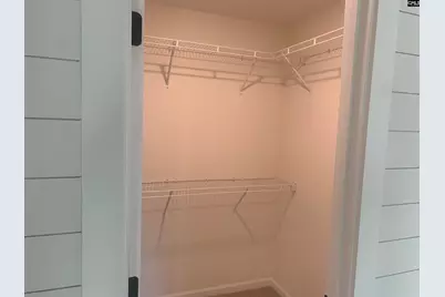 161 Dew Blossom Drive, Lexington, SC 29073 - Photo 11