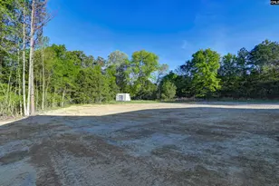 4195 Sc Hwy 773, Pomaria, SC 29126 - Photo 7