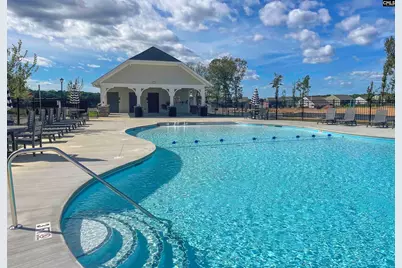 664 Cloudreach Road, Lexington, SC 29072 - Photo 29