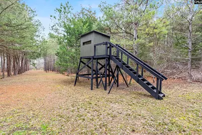 0 Richburg Road, Great Falls, SC 29055 - Photo 9