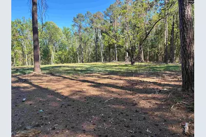 0 Mud Creek Road, Newberry, SC 29108 - Photo 7