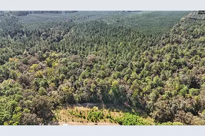 7166 Wagener Road, Wagener, SC 29164 - Photo 41