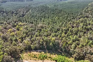 7166 Wagener Rd, Wagener, SC 29164 - Photo 41