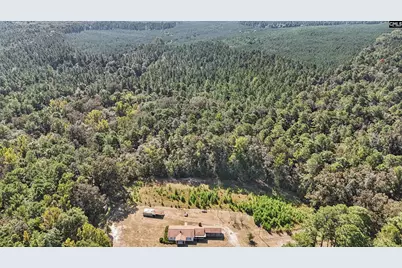 7166 Wagener Road, Wagener, SC 29164 - Photo 39