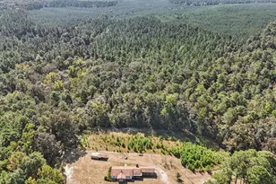 7166 Wagener Rd, Wagener, SC 29164 - Photo 39