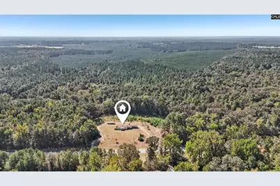 7166 Wagener Road, Wagener, SC 29164 - Photo 37