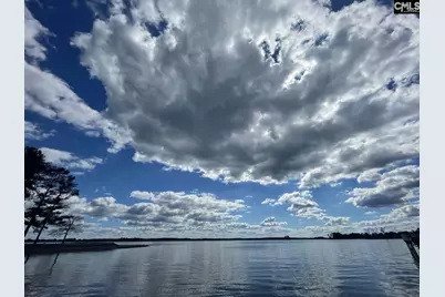 2056 Amicks Ferry Road, Chapin, SC 29036 - Photo 33