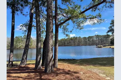 552 Corkscrew Lane, Blythewood, SC 29016 - Photo 31