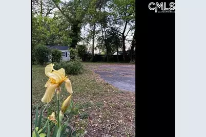 331 Bond Street, Batesburg, SC 29006 - Photo 17