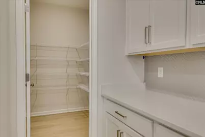 265 Summer Orchard Drive, Lexington, SC 29072 - Photo 17