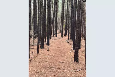 1008 Jones Road, Irmo, SC 29063 - Photo 39