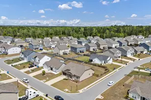 76 Texas Black Way, Elgin, SC 29045 - Photo 47