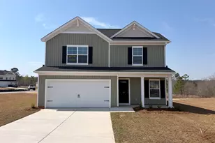 173 Calm Citadel Dr, Pelion, SC 29123 - Photo 1