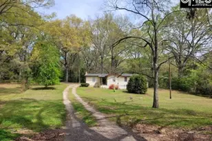 218 Williams St, Batesburg, SC 29006 - Photo 3