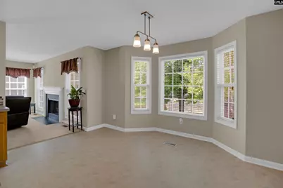 203 Hope Creek Drive, Irmo, SC 29063 - Photo 19