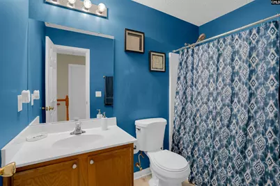 203 Hope Creek Drive, Irmo, SC 29063 - Photo 35