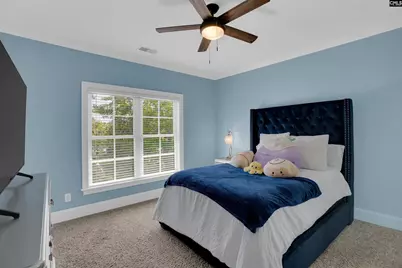 149 Lakeport Drive, Chapin, SC 29036 - Photo 39