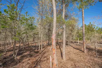 1404 Mount Zion Road, Cassatt, SC 29032 - Photo 11