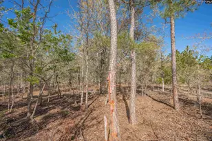 1404 Mt Zion Rd, Cassatt, SC 29032 - Photo 11