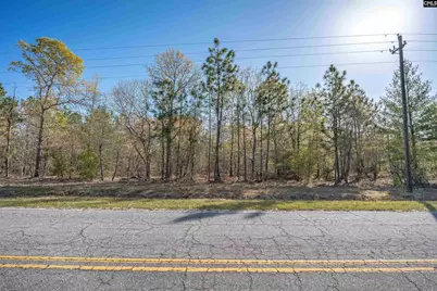 1404 Mount Zion Road, Cassatt, SC 29032 - Photo 3